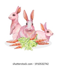 Pink watercolor bunnies with carrots. Illustration of cute bunnies. 