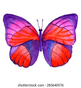 Pink  watercolor butterfly