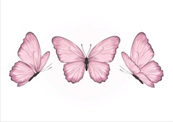Pink Watercolor Butterfly Hand Dra Wn Design