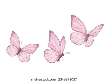 pink watercolor butterfly hand drawn design vector