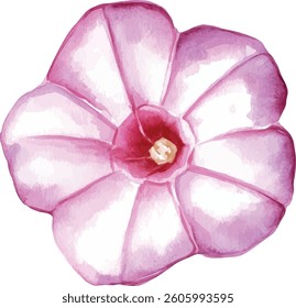 Pink Watercolor Flower  vector illustration
