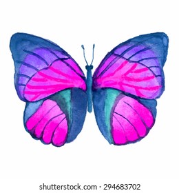 Pink  watercolor hand draw butterfly