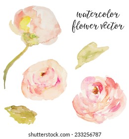 Pink Watercolor Roses Vector Flowers