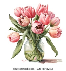 Pink watercolor Tulips bouquet in a glass vase on a white background