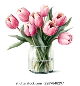 Pink watercolor Tulips bouquet in a glass vase on a white background