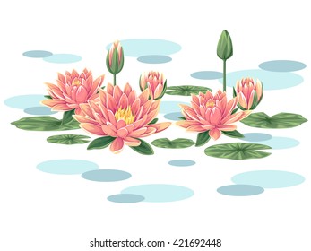 Pink waterlilies vector