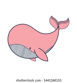 Pink Whale Cartoon character on isolated white background, vector, illustration