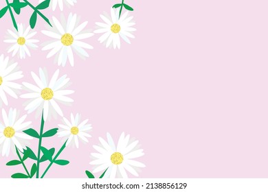 Pink white daisies background with space for text
