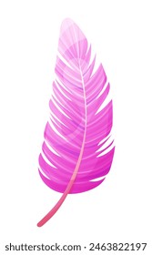 Pink and white flamingo feather on transparent background