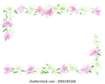 Pink and white Lilium maculatum frame