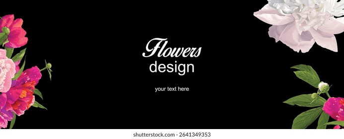 pink and white peonies with green leaves and buds  on a  black background.Close-up, isolated.The design element