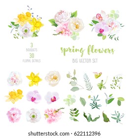 Pink and  white peony, yellow daffodils, wild rose, white poppy, violet orchid, hydrangea flowers and mix of spring plants and herbs big vector collection. All elements are isolated and editable