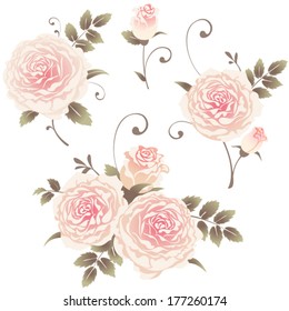 Pink and white roses, isolated on a white background. Set of various beautiful floral design elements.