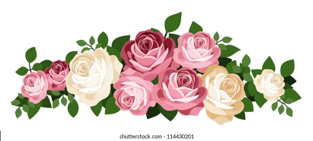 Pink and white roses. Vector illustration.
