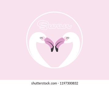 pink and white swan
