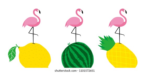  pink wild leaf and flamingo joyful spring summer,Fruit vector,illustration vector