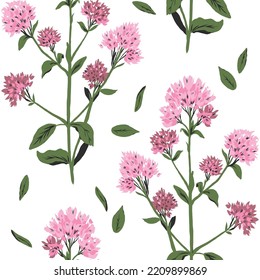 orégano salvaje rosa, ilustración vectorial brillante, patrón transparente con flores y hojas