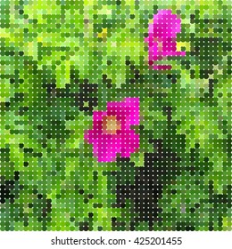 Pink wild rose