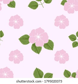 Pink wild rose flowers with leaves seamless pattern on light pink  background