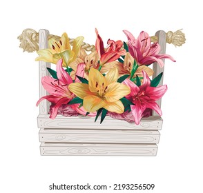 pink and yellow lilies in a light wooden basket on a white background. vector illustration