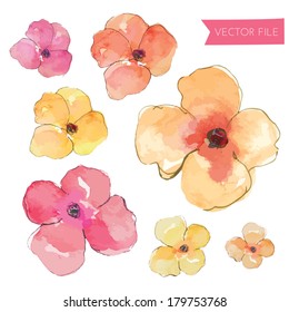 Pink, Yellow, and Orange Vector Collection of Hand Painted Watercolor Pansy Blooms