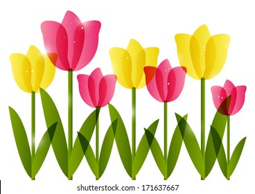 Pink and yellow  tulips border for Your design