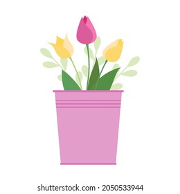 Pink and yellow tulips in a pink bucket. Vector isolate illustration on white background