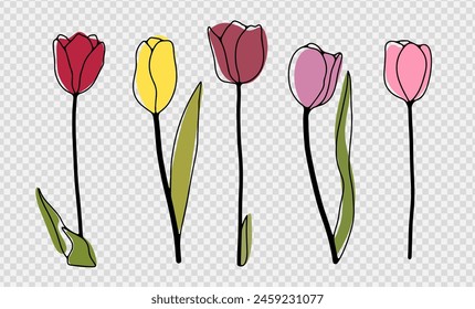 Pink and yellow tulips hand drawn isolated on a transparent background. Outline of tulips.