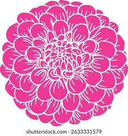 Pink zinnia bud vector clipart. Hand-drawn flower illustration