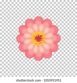 Pink zinnia flower on transparent background. 3d vector illustration