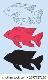 pink-colored fish Aulonocara firefish. black isolated outline and silhouette, hand-drawn in sketch style on a white background for signage, packaging, logo design template.fish from the aquarium 