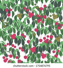 pinkish dogwood fruit green leaf white background design