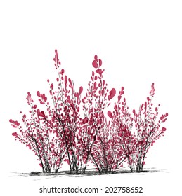 pink-leaved small trees, shrubs