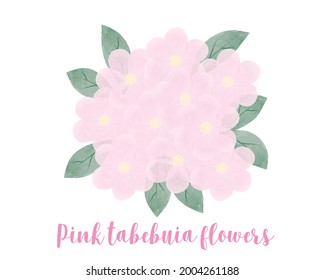 Pinks tabebuia flowers bouquet decorated with green leaves on back, digital watercolor painting style, on white background.