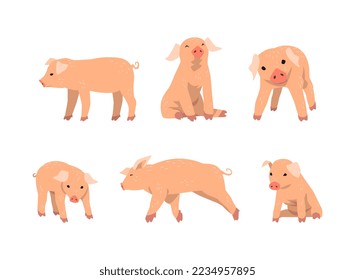 Pinky Pig as Domestic Animal with Long Snout and Hoofed Toes Vector Set