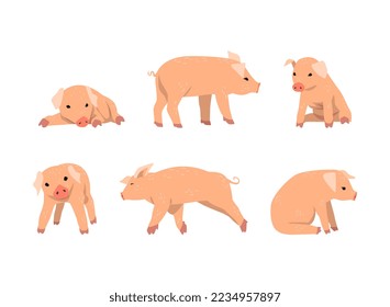 Pinky Pig as Domestic Animal with Long Snout and Hoofed Toes Vector Set