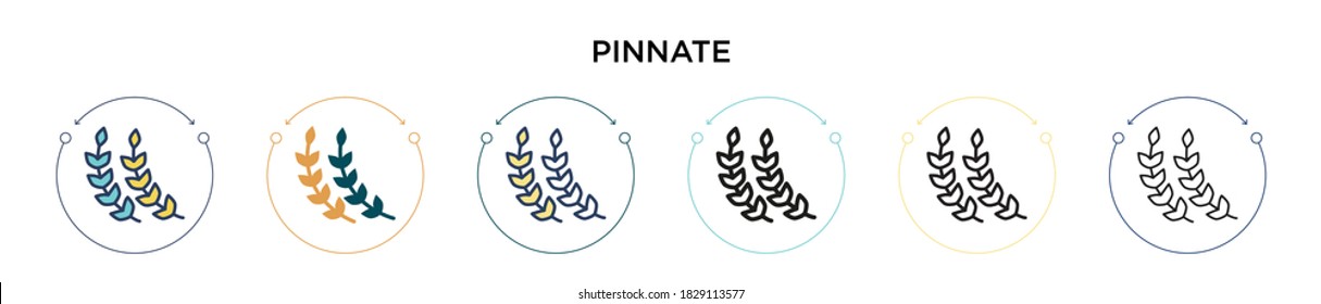 Pinnate icon in filled, thin line, outline and stroke style. Vector illustration of two colored and black pinnate vector icons designs can be used for mobile, ui, web