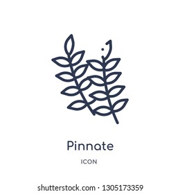pinnate icon from nature outline collection. Thin line pinnate icon isolated on white background.