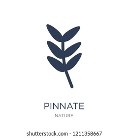Pinnate icon. Trendy flat vector Pinnate icon on white background from nature collection, vector illustration can be use for web and mobile, eps10