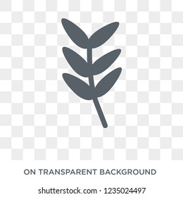 Pinnate icon. Trendy flat vector Pinnate icon on transparent background from nature collection. 