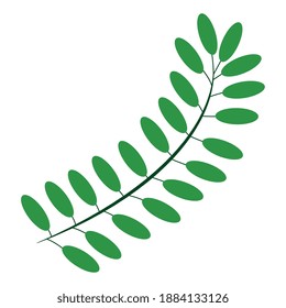 pinnate leaf plant style flat icon vector illustration design