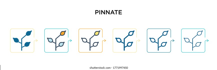 Pinnate vector icon in 6 different modern styles. Black, two colored pinnate icons designed in filled, outline, line and stroke style. Vector illustration can be used for web, mobile, ui