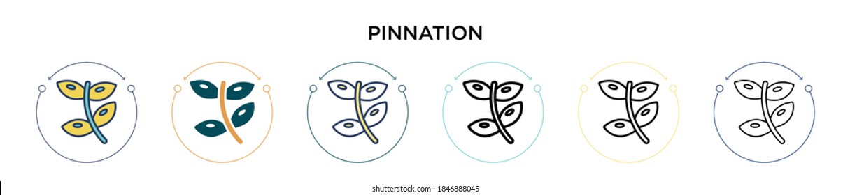 Pinnation icon in filled, thin line, outline and stroke style. Vector illustration of two colored and black pinnation vector icons designs can be used for mobile, ui, web