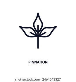 pinnation icon. Thin line pinnation icon from nature collection. Outline vector isolated on white background. Editable pinnation symbol can be used web and mobile