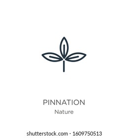 Pinnation icon. Thin linear pinnation outline icon isolated on white background from nature collection. Line vector sign, symbol for web and mobile