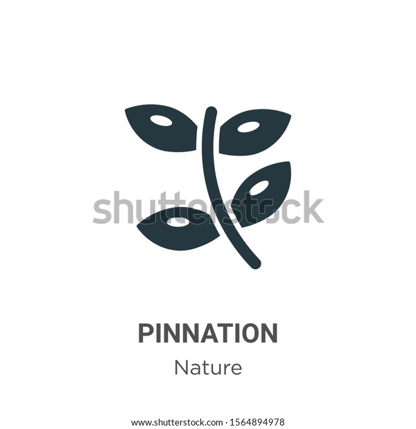 pin nation