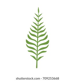 Pinnatisect green leaf vector Illustration