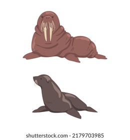 Pinniped Seal and Walrus with Tusk as Arctic Animal and Wild Mammal Vector Set