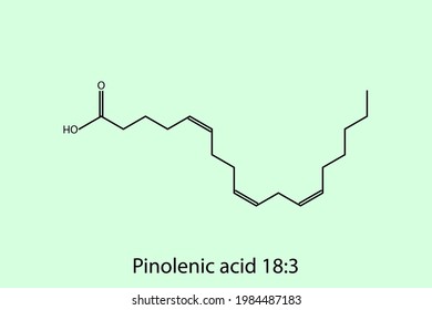 Pinolenic Acid - Omega 6 biomolecule molecular formula. Skeletal molecule structure vector eps10.