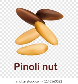 Pinoli nut icon. Realistic illustration of pinoli nut vector icon for on transparent background